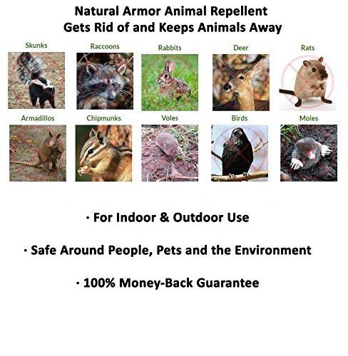 Natural Armor Animal & Rodent Repellent Spray. Repels Skunks, Raccoons