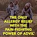 Advil Allergy & Congestion Relief (20 Count), Antihistamine, 200mg Ibuprofen Pain Reliever/Fever Reducer & Nasal Decongestant, One Tablet Dose