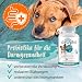 Ida Plus Darmbiotic – TESTSIEGER – Probiotika zur Darmsanierung für den Hund - Darmflora aufbauen nach Durchfall - gesunde aktive Darmbakterien – Immunsystem – Regulierung Verdauung – 240 Tabletten