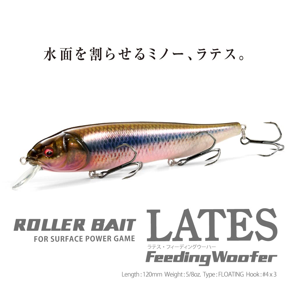 Amazon.com : Megabass Lates FeedingWoofer FA Kawamutsu