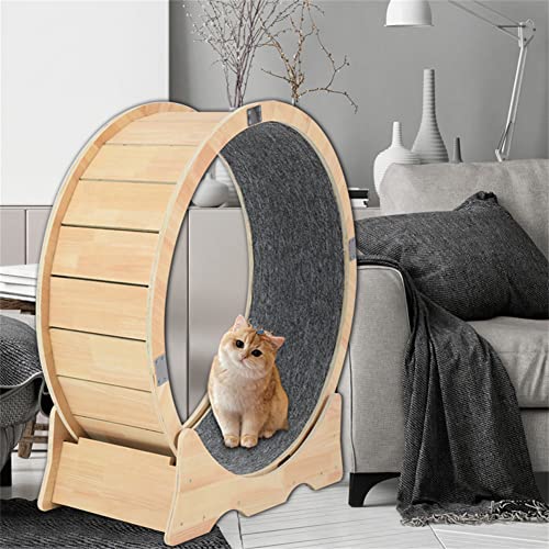 Cat Exercise Wheel Indoor Treadmill Small Animals Exercise Wheels ，Cat Runway, Fitness Weight Loss Device，Cat Running Wheel ，Pet Toy ，Large-Sized Cat Wheel (Extra Large) #TOP3