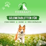 Tierkraft Gelenktabletten für Hunde - Made in Germany - Gelenktabletten Hund mit Grünlippmuschel - Teufelskralle Hund - MSM Hund & Grünlippmuschel Hund - 200 Gelenk- & Knochenschutz Tabletten