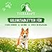 Tierkraft Gelenktabletten für Hunde - Made in Germany - Gelenktabletten Hund mit Grünlippmuschel - Teufelskralle Hund - MSM Hund & Grünlippmuschel Hund - 200 Gelenk- & Knochenschutz Tabletten