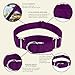 Country Brook Petz - Martingale Dog Collar - Heavy-Duty Training Collar with No Buckle - Service Dog Collar for All Pups - 20 Vibrant Colors (Purple, 1 Inch, Medium)