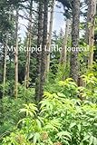 My Stupid Little Journal