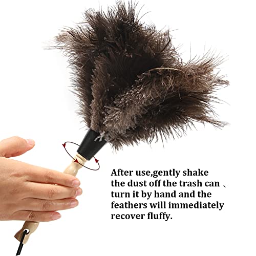image for iHUFeather Ostrich Feather Duster 14 inch Feather Duster Fluffy Natura