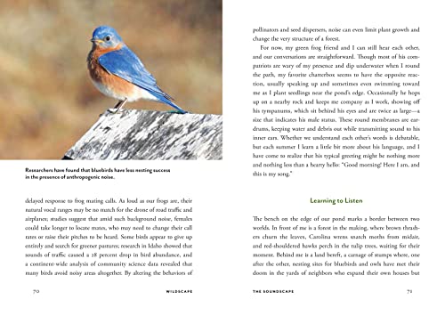 Wildscape: Trilling Chipmunks, Beckoning Blooms, Salty Butterflies, and other Sensory Wonders of Nature (-) - Image 8