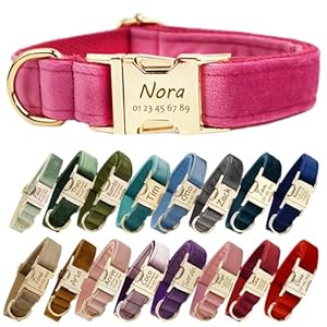 collar perro personalizado con hebilla de metal, ccollar personalizado perro con fuentes de nombre y número de teléfono, collares personalizados de tamaños ajustables para perros grandes (Collar 02)