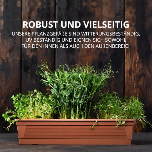 Plastard Blumenkasten 60 cm Terrakotta, Pflanzkasten, Balkonkasten – Ansicht 5