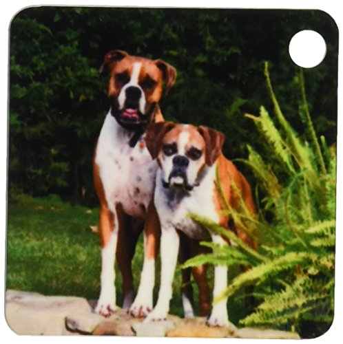 Porte-clés deux chiens Boxer pour garder vos compagnons toujours avec vous