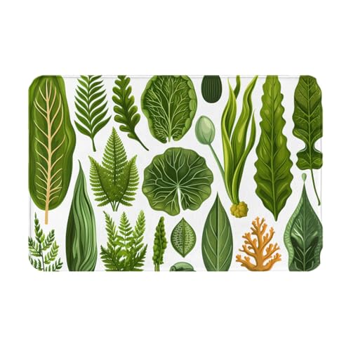 WZYWHJ Felpudo antideslizante de 40,6 x 61 cm, fácil de limpiar, adecuado para puerta delantera, sala de estar, baño, algas marinas, coral bajo el mar, impresión