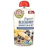 Earth's Best Organic Baby Food Pouches, Stage 2 Wholesome Breakfast Puree for Babies 6 Months and Older, Organic Banana Blueberry and Oat Puree, 3.5 oz Resealable Pouch (Pack of 12)