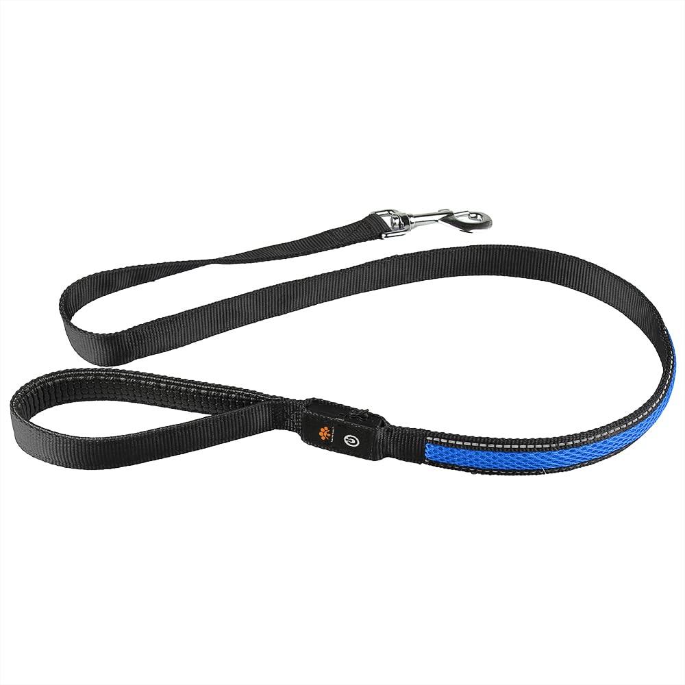 Lightup Dog Leash Fluffy Tails LED 3 Flashing Modes Waterproof USB Rechargeable Standard Dog