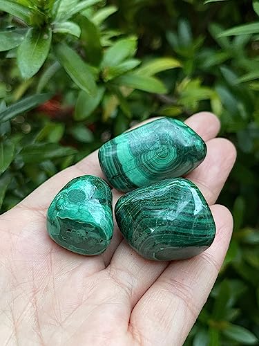 Image of GAF TREASURES 1 /2 LB Malachite Tumbled Stones, Polished Natural Malachite Gemstone, Malachite Healing Crystals (Malachite)