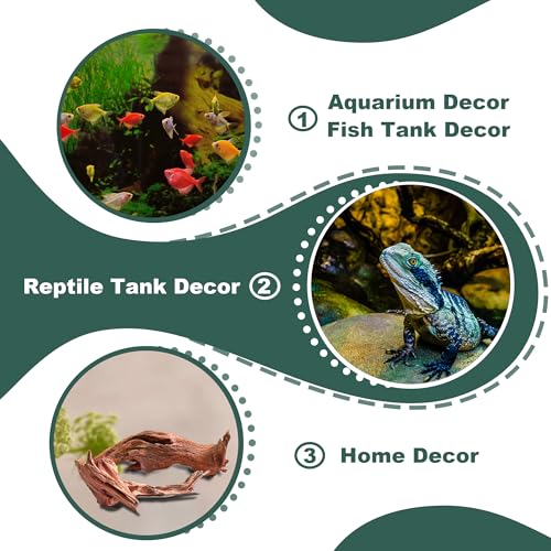 HEMYIS Natural Wood Driftwood for Aquarium Fish Tank Decor,Assorted Driftwood Trunk Branch for Reptile Tank Decor (MOP-ZYM Driftwood Branch (12 to16 Inch)-Pack of 3) by HEMYIS - Used condition - Image 4