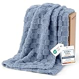 Bedsure GentleSoft Ashley Blue Throw Blanket for Couch - Checkered Fleece Blankets Gifts for Kids Girls, Cute Soft Cozy Throw for Bedroom Home Decor Gifts, 50x60 Inches