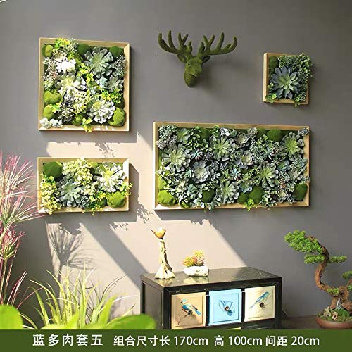 Amazon｜【フェイク クグリーン 壁掛け 多肉植物】 エアープランツ