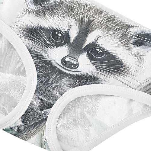 Cute Raccoon Animal Toddler Girls's Underwear 2T 202c03094