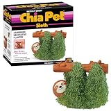 Chia Pet Sloth with Seed Pack, Decorative Pottery Planter, Easy to Do and Fun to Grow, Novelty Gift, Perfect for Any Occasion