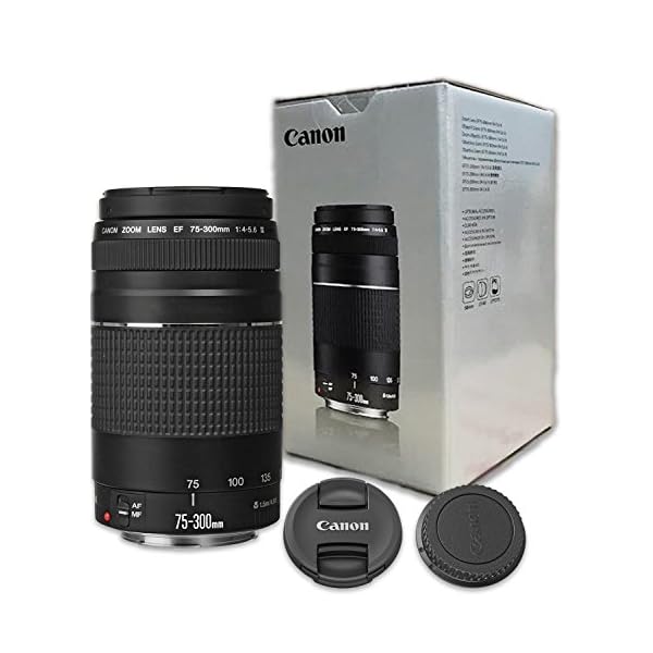 Canon EF 75-300mm f/4-5.6 III Telephoto Zoom Lens Black