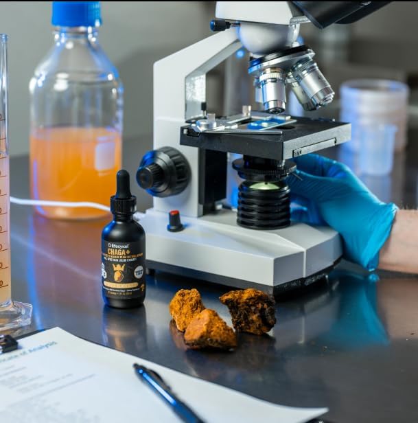 Life Cykel - Chaga Mushroom Extract with Kakadu Plum - Double Extracted Mushroom Tincture - Non-GMO Immune Support Supplement for Adults and Kids - 1 Fl Oz - Image 5