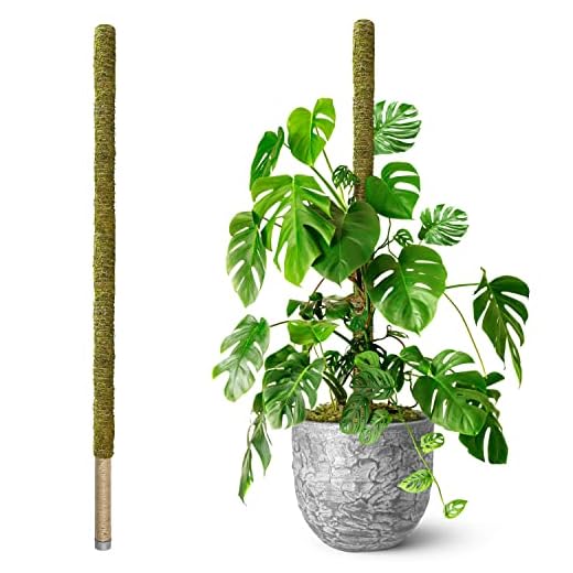 DUSPRO 80-Inch Superior Plant Support Pole