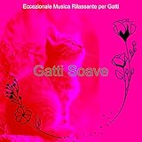 Vendita all'ingrosso di musica