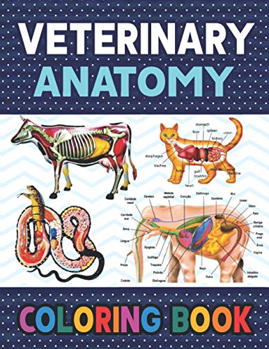 Veterinary Anatomy Coloring Book: Fun and Easy Veterinary Anatomy Coloring Book for Kids.Animal Anatomy and Veterinary Coloring Book.Dog Cat Horse ... books.Handbook of Veterinary Anesthesia.