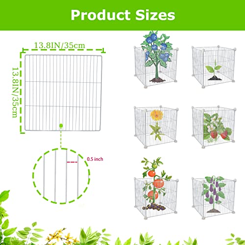 Garden Chicken Wire Cloche Plant Protectors, Diy White Plant Cages For Plants And Vegetables To Protect From Rabbits,Deers,Birds, Squirrels And Other Animals #TOP2
