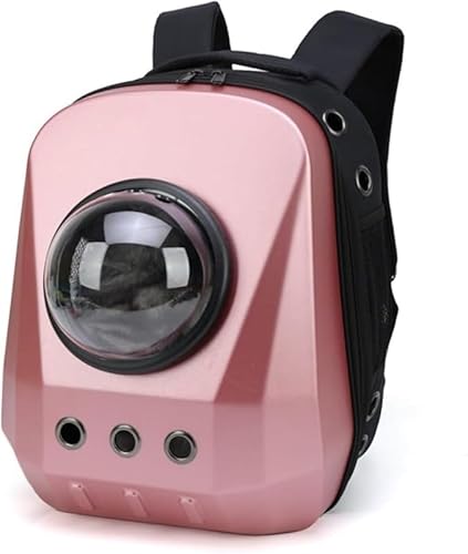 KryZaroybgL[bN ^ELp FDJvZfUC LX y ω׏d Lp