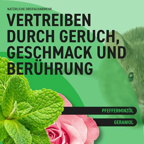 RepellShield® Rattenabwehr & Mäuseabwehr Spray -250ml- Mäuse Abwehrmittel zum Mäuse vertreiben - hält Ratten & Nagetiere fern, Nicht färbend, Pfefferminzöl Duft