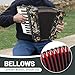 Accordion - 22 Key 8 Bass, Professional & Beginner Keyboard Accordion with Adjustable Strap & Backpack, Durable Design (Multicolor)