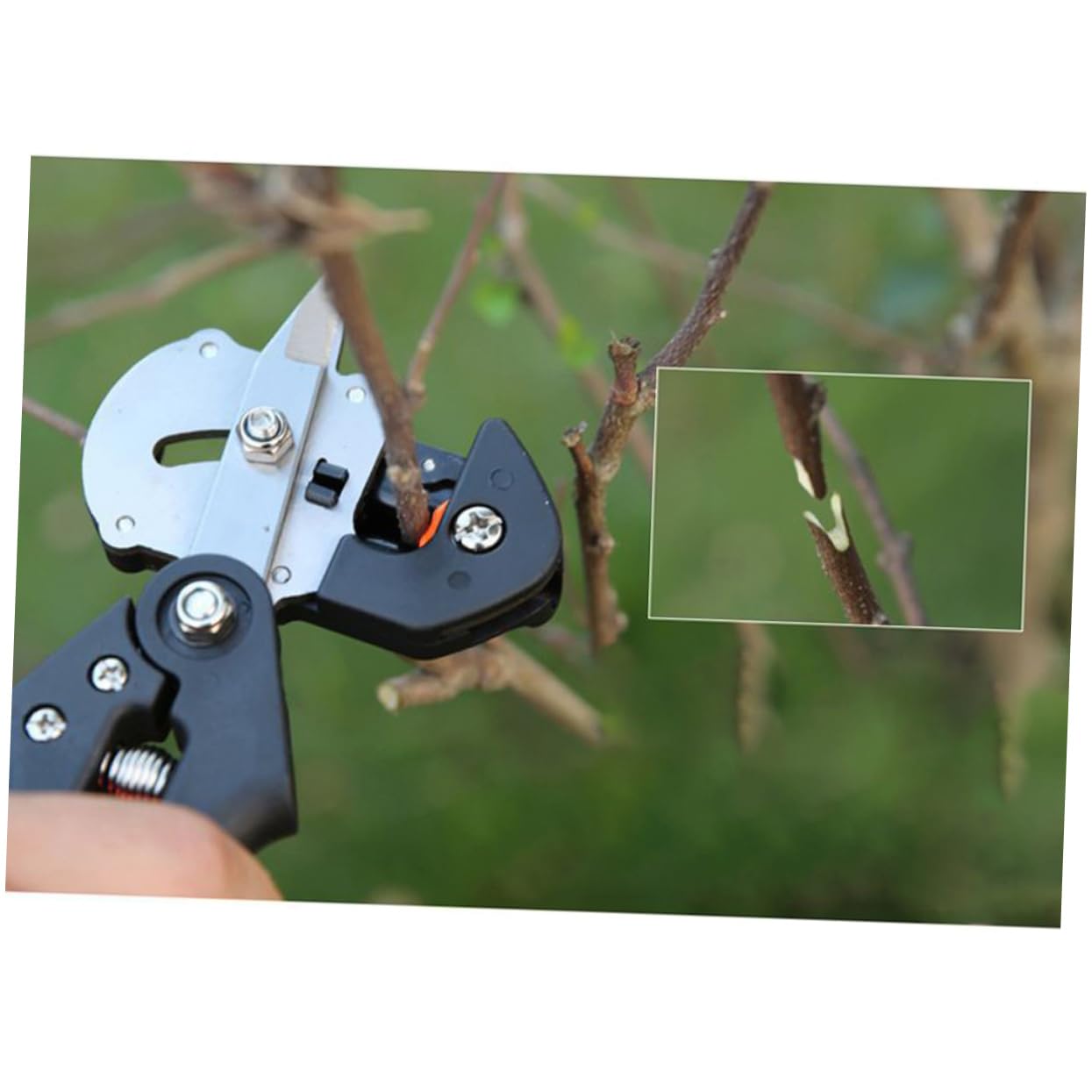 Forbice Per Da Attrezzo Per Innestare Alberi Cesoie Per Rami Foglie Forbici Da Leggero Materiali in Robusti Lame Ricambio Incluse