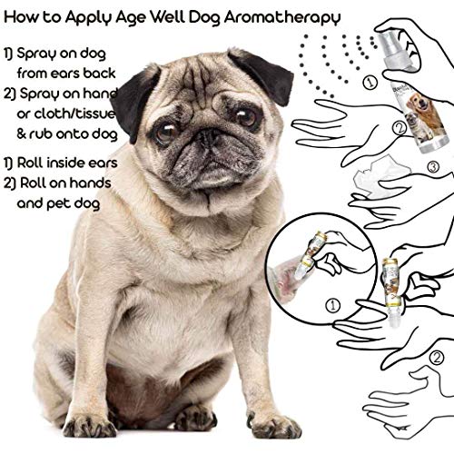 Image of The Blissful Dog Pug Age Well Dog Aromatherapy Roll-On Bottle for Your Dog's Peaceful Ageing