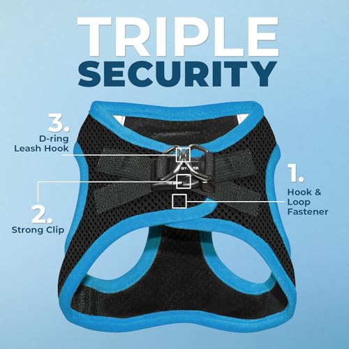 Image of Voyager Step-in Air All Weather Mesh Harness & Reflective Dog 5 ft Leash Combo, Neoprene H&le, for Small, Medium, Large Breed Puppies by Best Pet Supplies - Leash Harness (Black /Blue Trim), XL
