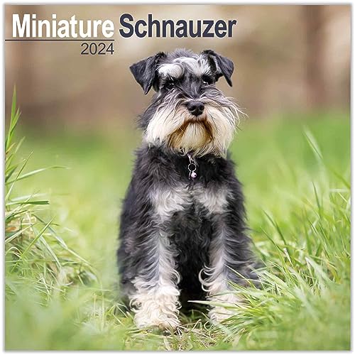 Miniature Dog