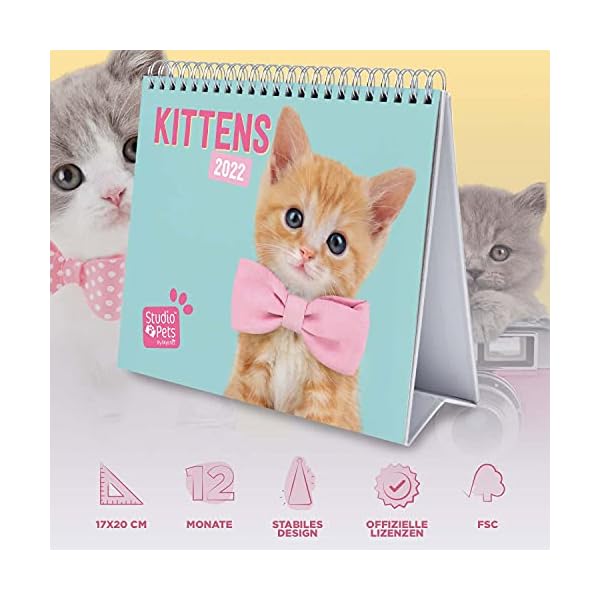 Grupo Erik Tischkalender 2022 - Studio Pets Katze Kalender 2022 Tischkalender - Tischplaner 2022 Planer 2022 – Bild 4