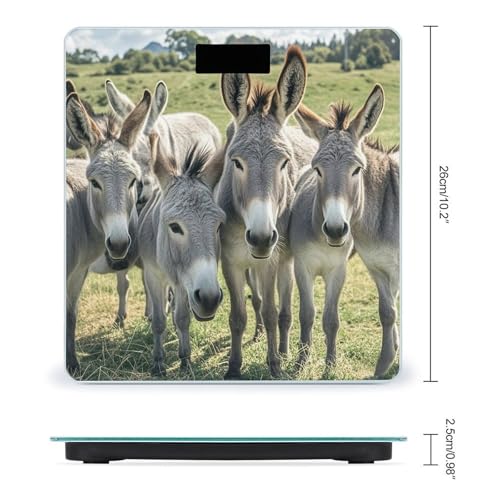 Báscula digital de baño Donkey Animals con vidrio templado miniatura 2