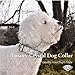 Handmade Real Rhinestone Dog Collars, 1000's of Color Options, Crystal Jeweled Dog Collars for Medium Large and Small Giant Dogs, Diamond Dog Collar, Bling Dog Collars (1