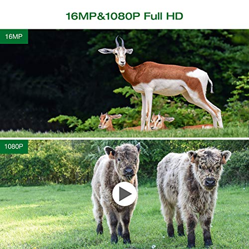 Mini Wildkamera 1080p 16MP Wildkameras mit Nachtsicht Kleine wasserdichte Jagdfallenkamera mit 120° Weitwinkelobjektiv 2… – Bild 4