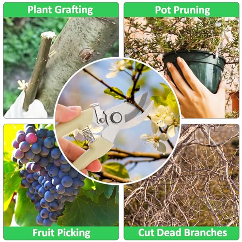 20 tijeras de podar florales para jardín 6.9 pulgadas miniatura 6