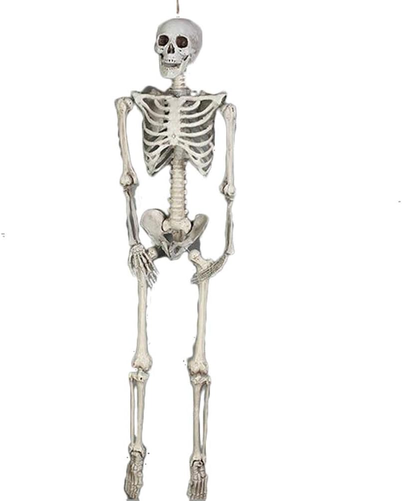 67" Halloween Skeleton, Pose Life Size Skeleton Full Body Realistic Human Bones with Posable Joints for Halloween Prop Decoration Party Favors