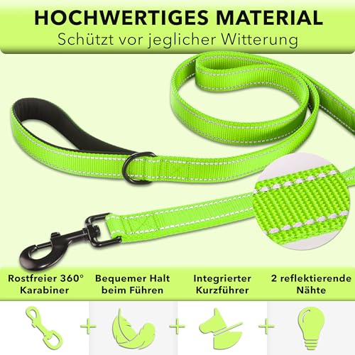 AVANA Hundeleine mit integriertem Kurzführer reflektierende Leine | 2 handschonende gepolsterte Handschlaufen | 1,5 Meter Führleine für große und mittelgroße Hunde - Neongrün