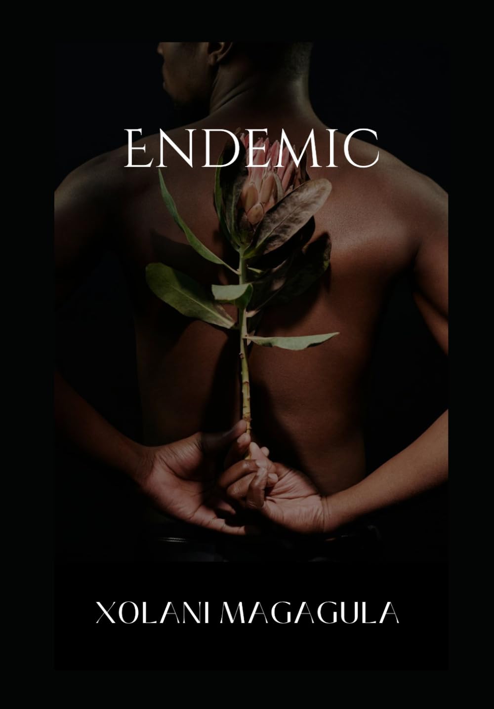 Endemic: A bilingual poetry collection (Endemic: A series of Poetry collection)