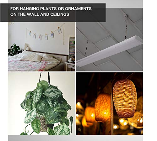 DOJA Industrial | Gewinde Schraubhaken | M8 x 60 | PACK 5 | Schwerlast Hakenschrauben | Bolzen Haken Schraub | Gewindehaken | Haken zum Schrauben: Wandhaken, Deckenhaken, Wandhaken, Haken Decke