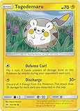 The Pokemon Company International