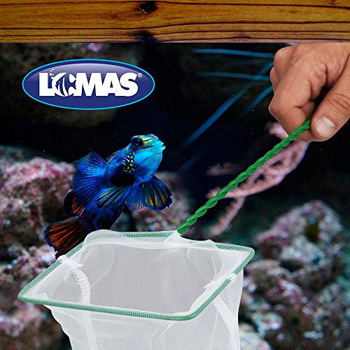 Image of Marina 5-Inch Black Coarse Nylon with 10-Inch Handle (Pack of 2)
