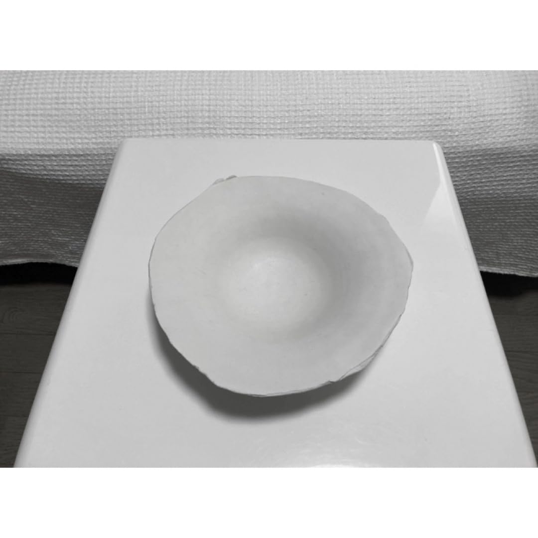 Amazon | 河合和美さん 白樺 皿 器 2枚 | ノーブランド品 | 小皿