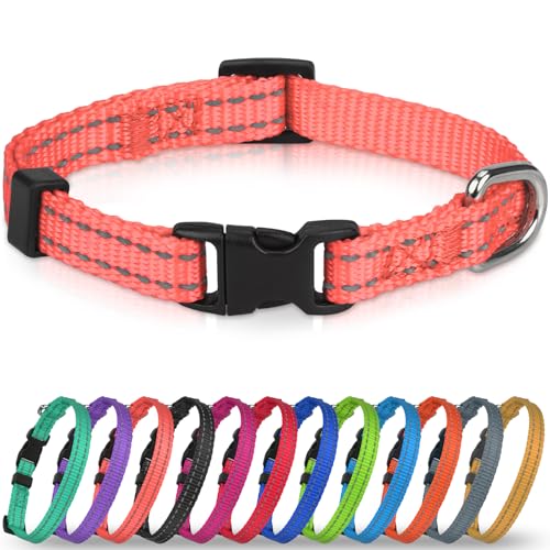 Joytale Feather-Light Puppy Collar for Extra Small Dogs, 3/8", Neon Pink
