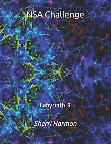 NSA Challenge: Labyrinth 9      Paperback – December 28, 2019